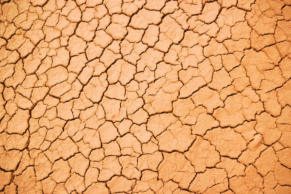Textura da argila vermelha crepitada — Fotografia de Stock