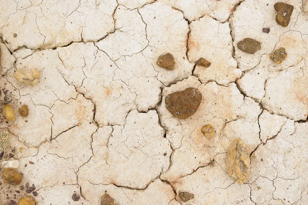 Texture of the crackled white clay — Stock Photo, Image