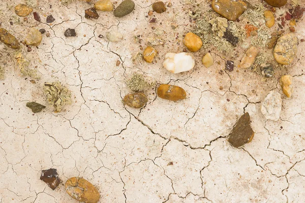 Texture of the crackled white clay — Stock Photo, Image