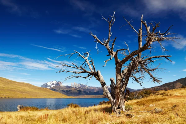 Laguna Azul, Patagonia, Chile — Foto de Stock