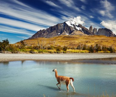 Torres del Paine National Park, Chile clipart