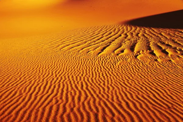 Фон пустыни — стоковое фото
