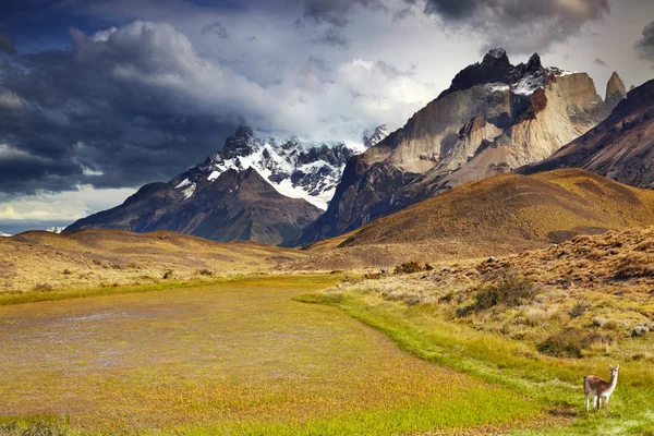 Torres del Paine, Chile — Stockfoto