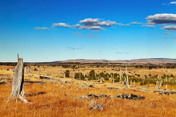 Paesaggio patagonico — Foto Stock