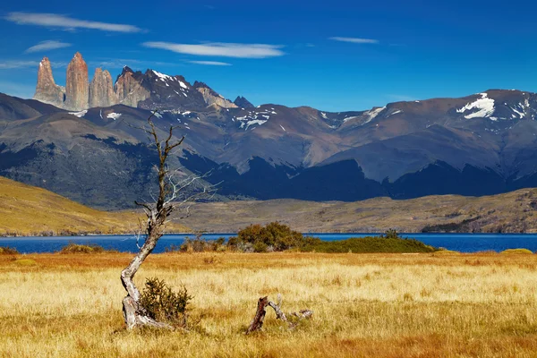 Torres del Paine National Park, Chile — Stock Photo, Image