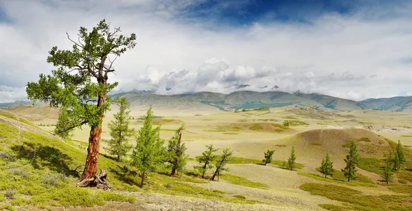 Paesaggio montano — Foto Stock