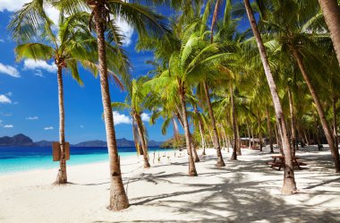 Tropical beach, Philippines clipart
