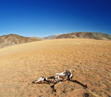 Lifeless desert and dead horse clipart