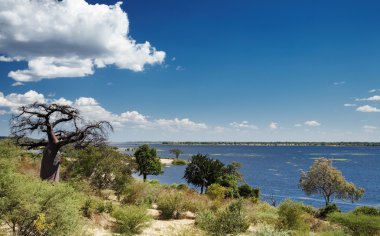 Chobe river in Botswana clipart