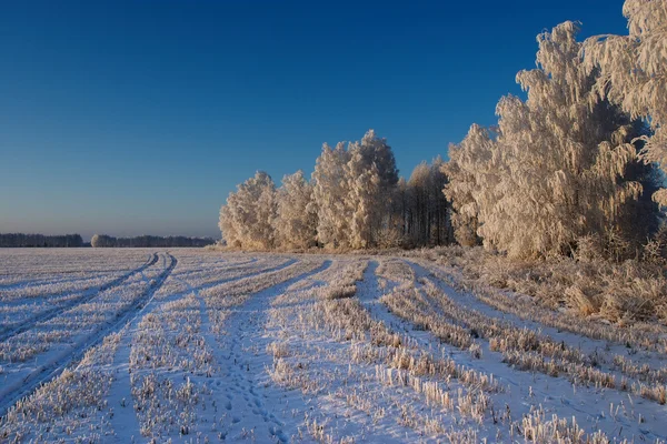 Giornata fredda invernale — Foto Stock