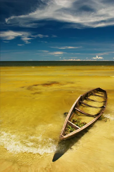 热带海滩视图 — 图库照片