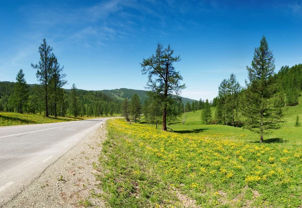 Landschaft mit Wald, Straße und blauem Himmel — Stockfoto