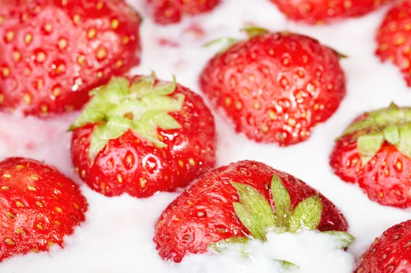 Φράουλες και κρέμα — Φωτογραφία Αρχείου