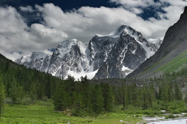 Orman ve karlı dağlarla kaplı bir manzara. — Stok fotoğraf