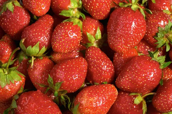 Strawberries — Stock Photo, Image