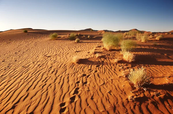 Deserto do Namib. Sossusvlei, Namíbia . — Fotografia de Stock