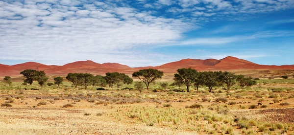 African landscape — Stock Photo, Image