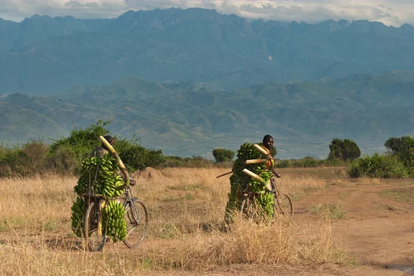 African farmers with a bananas — Stock Photo, Image