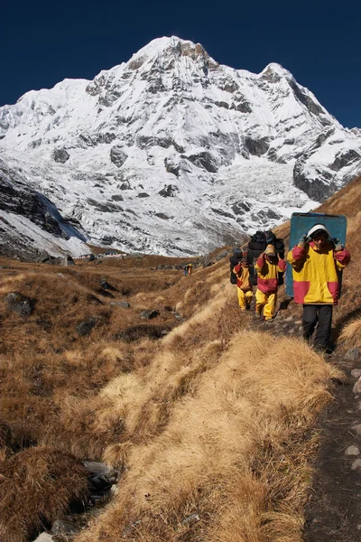 Nepali träger beim bergwandern — Stockfoto