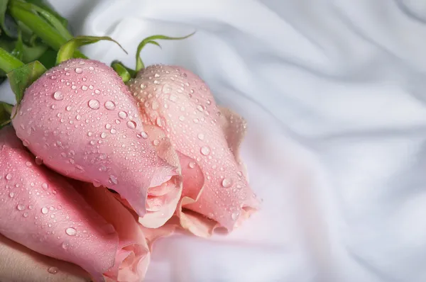 Ανθοδέσμη με ροζ τριαντάφυλλα σε μεταξωτό ύφασμα — Φωτογραφία Αρχείου