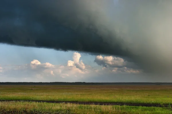 Storm in veld — Stockfoto