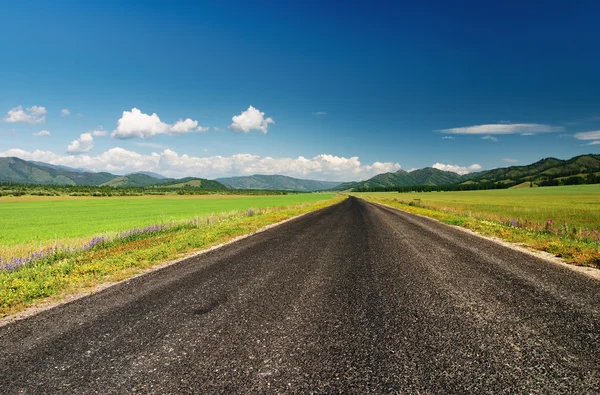 Weg naar nergens — Stockfoto