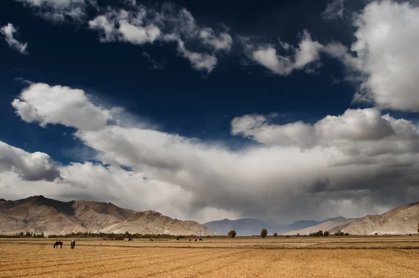 Himlen i tibet — Stockfoto