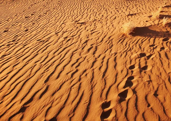 Sand of Namib Desert, Sossusvlei, Namibia — Stock Photo, Image