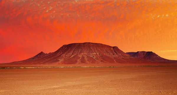 Fantasía del desierto —  Fotos de Stock