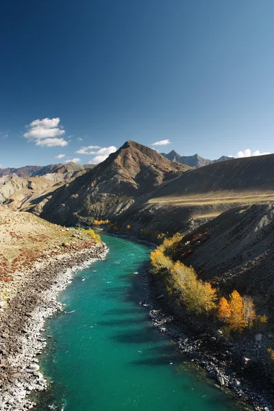 Гірська річка Katun — стокове фото