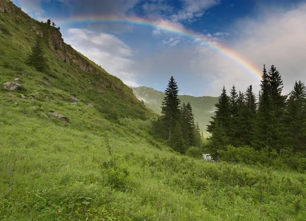 Bergdal — Stockfoto