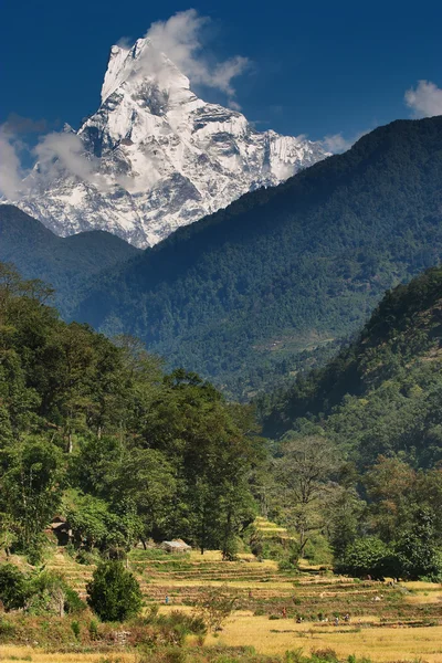 Paesaggio montano — Foto Stock