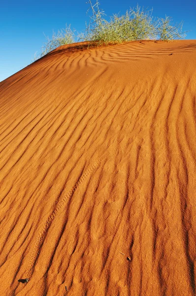 Наміб. sossusvlei, Намібія. — стокове фото