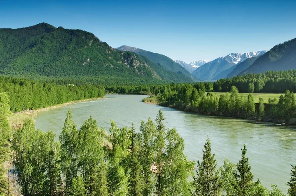 Berglandschap — Stockfoto