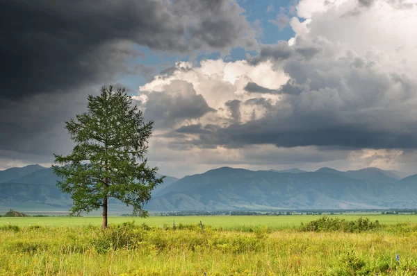 Landscape with storm clouds — Stock Photo, Image