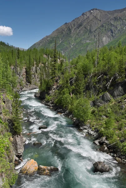 Dağ nehri — Stok fotoğraf