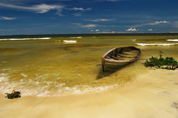 Тропический пляж, озеро Виктория — стоковое фото