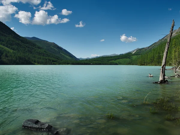 Lago di montagna — Foto Stock