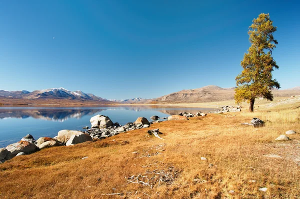 Mountain lake in mongolian wilderness — Stock Photo, Image