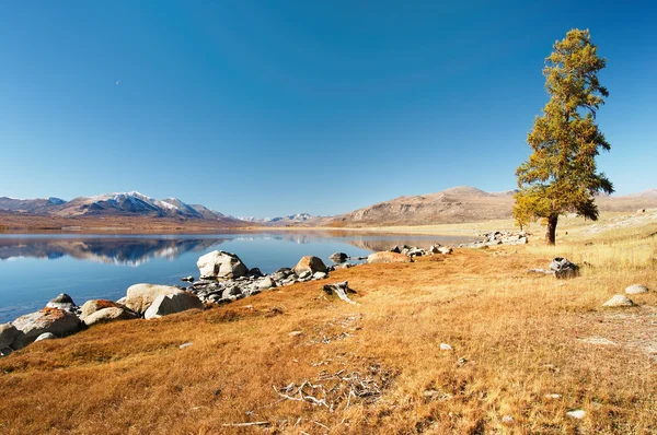 Lago de montaña en el desierto mongoliano —  Fotos de Stock