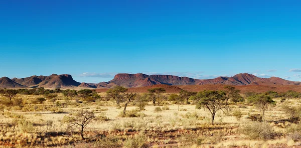 Afrikaanse landschap, kalahari-woestijn, Namibië — Stockfoto