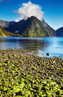 Milford Sound, New Zealand clipart