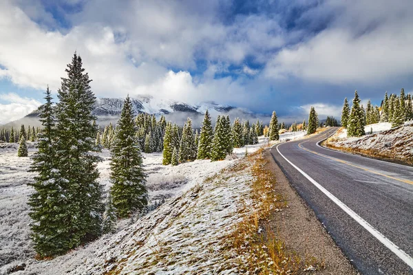 Landskap Med Snöiga Berg Och Skog Highway 550 Colorado Usa — Stockfoto