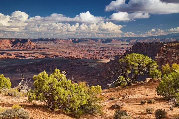 Wyspa Niebie Park Narodowy Canyonlands Utah Usa — Zdjęcie stockowe
