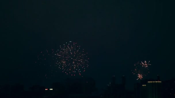 Fuegos artificiales. — Vídeo de stock