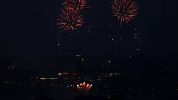 Foc de artificii . — Videoclip de stoc