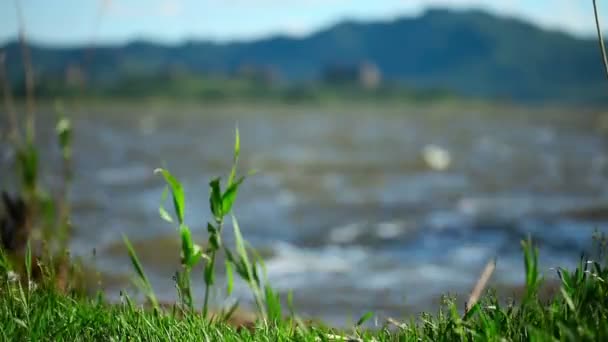 Lago di montagna. — Video Stock