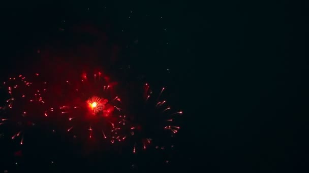 Fuochi d'artificio. — Video Stock