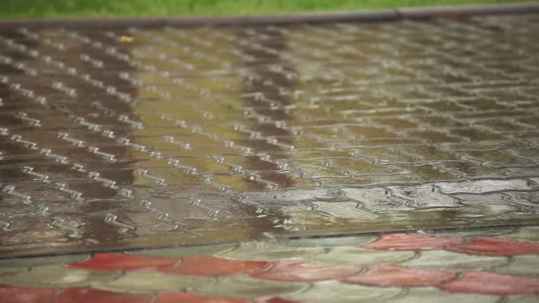 Lluvia otoñal . — Vídeos de Stock