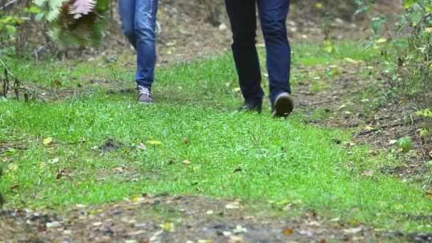 Wandelen. — Stockvideo